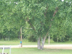 Wisconsin Dells Camping