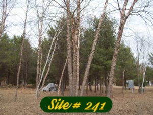 Buck's Crossing Campsite
