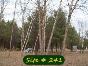 Campsites Buck's Crossing