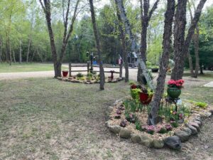 More Pretty Flowers at Site 241