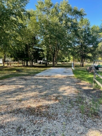Site 142