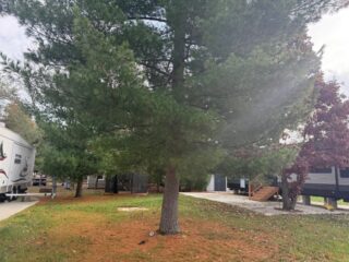 Site 234